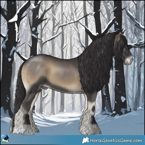 Horse Color:Smoky Blue Onyx 