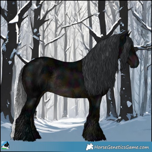 Horse Color:Midnight Brown Ice Rabicano 