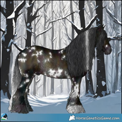 Horse Color:White Spotted Midnight Brown Onyx Rabicano 