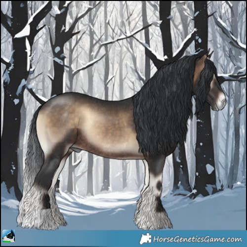 Horse Color:Brown Onyx Rabicano 