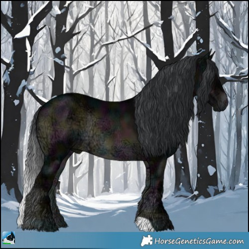 Horse Color:Midnight Brown Ice Onyx Rabicano 