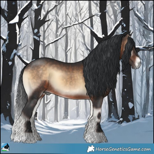 Horse Color:Brown Onyx 