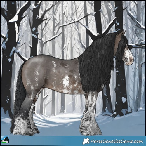 Horse Color:Brown Dun Sabino 