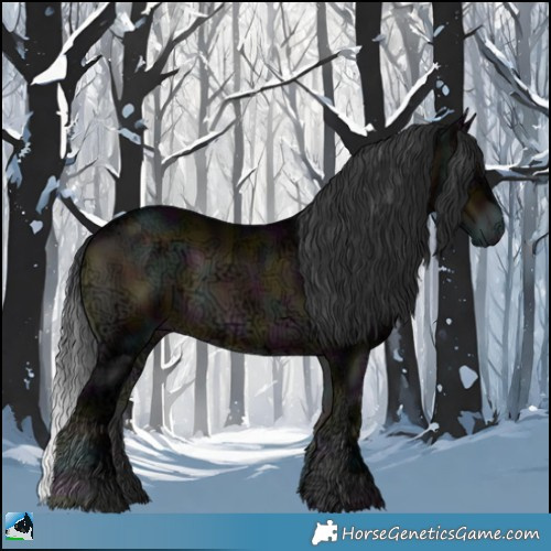 Horse Color:Midnight Brown Ice Onyx Rabicano 