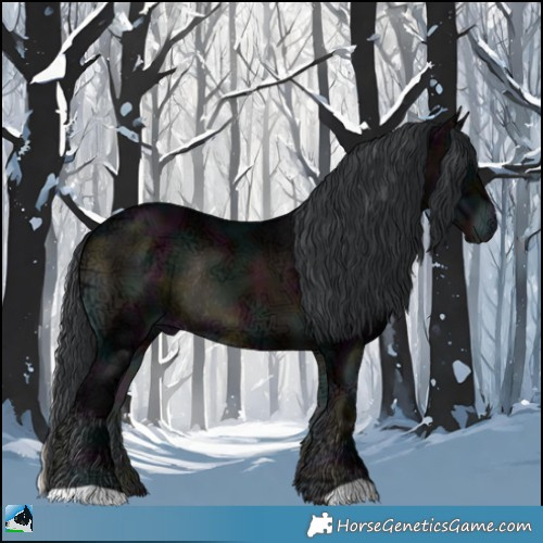 Horse Color:Midnight Brown Ice Onyx Rabicano 