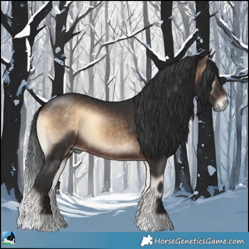 Horse Color:Brown Onyx Rabicano 