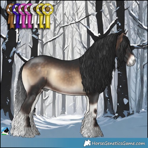 Horse Color:Brown Onyx Rabicano 