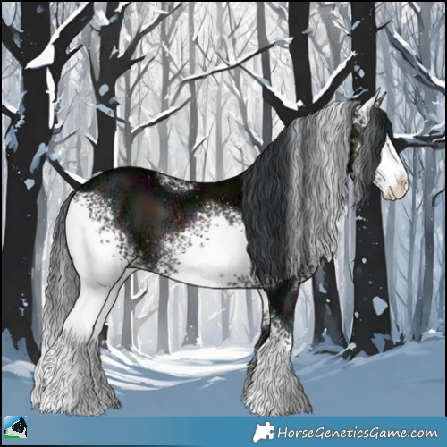 Horse Color:White Spotted Midnight Brown Ice Onyx 