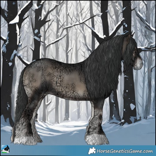 Horse Color:Blue Onyx Ice Rabicano 