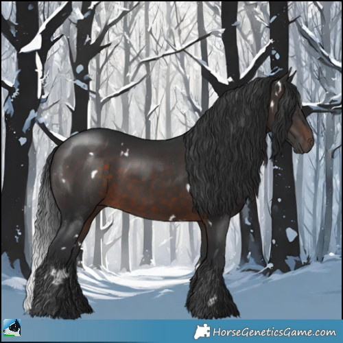 Horse Color:White Spotted Brown Rabicano 
