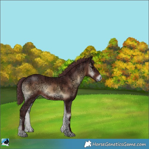 Horse Color:Chocolate Brown Ice Onyx 