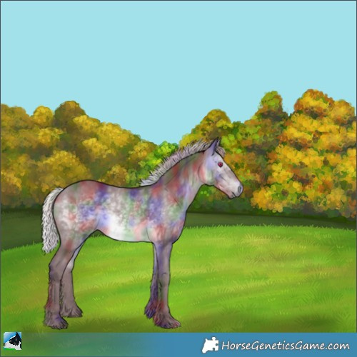 Horse Color:Nacre Chocolate Silver Brown Chinchilla Rabicano 