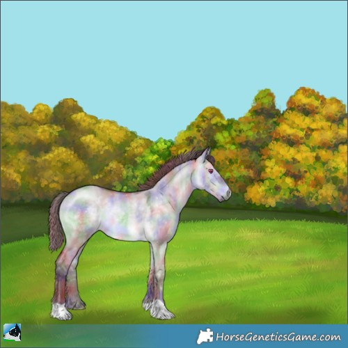 Horse Color:Nacre Chocolate Brown Chinchilla Dun Rabicano 