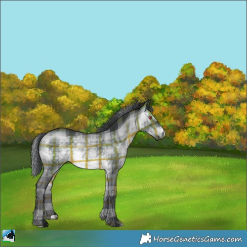 Horse Color:Plaid  Brown Chinchilla 