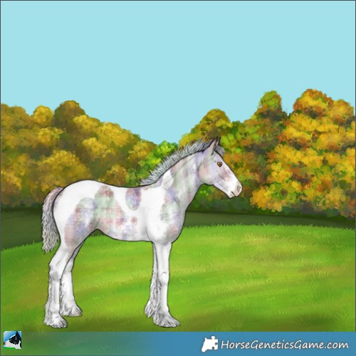 Horse Color:Nacre Plaid  Chocolate Silver Black Chinchilla Sabino Tobiano 