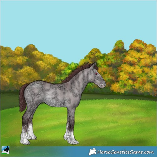 Horse Color:Chocolate Brown Chinchilla Ice Dun Sabino Rabicano 