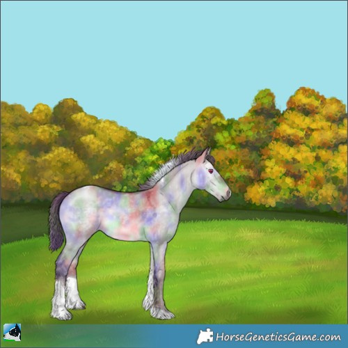 Horse Color:Nacre Chocolate Brown Chinchilla Dun Tobiano 