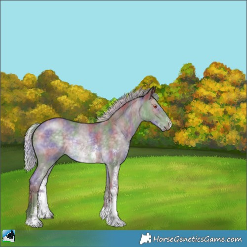 Horse Color:Nacre Chocolate Silver Black Chinchilla Sabino Rabicano 