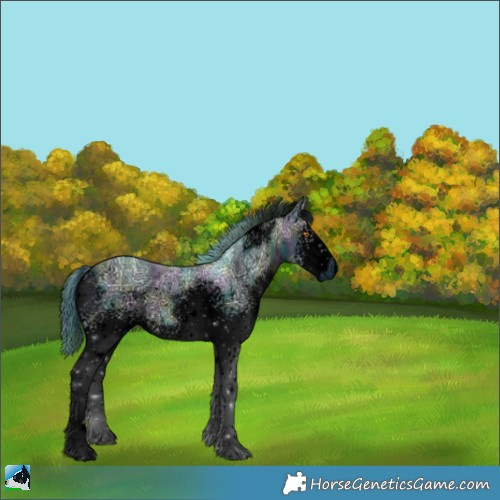 Horse Color:ERROR: UNKNOWN ANOMALY