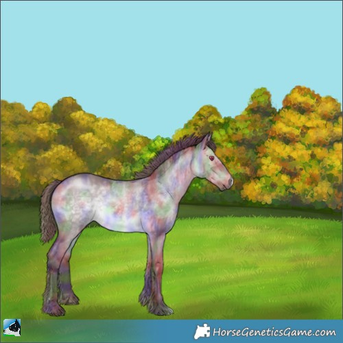 Horse Color:Nacre Chocolate Brown Chinchilla Dun 