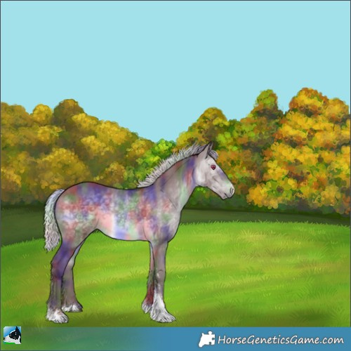 Horse Color:Nacre Chocolate Silver Brown Chinchilla Sabino 