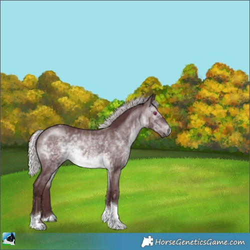 Horse Color:Chocolate Silver Brown Chinchilla Tobiano 