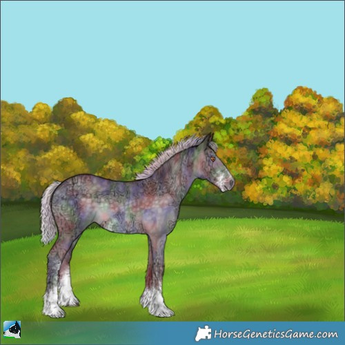 Horse Color:Nacre Chocolate Silver Black Chinchilla Ice Sabino 