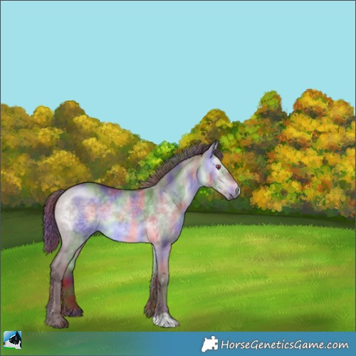 Horse Color:Nacre Chocolate Brown Chinchilla Dun Rabicano 