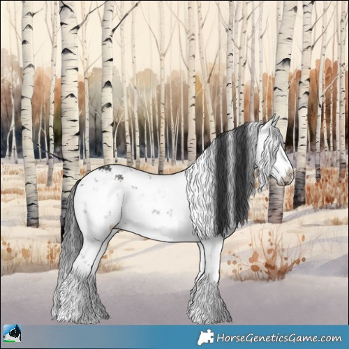 Horse Color:Grullo Mushroom Sabino Rabicano 