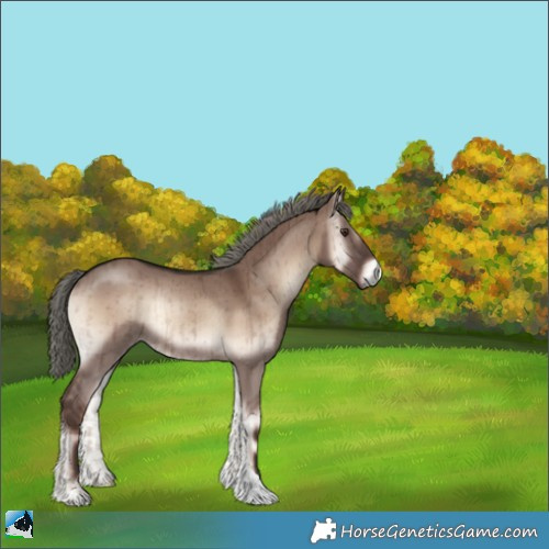 Horse Color:Liver Red Dun Onyx Mushroom Rabicano Brindle 