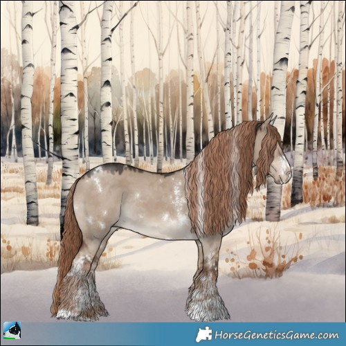 Horse Color:White Spotted Liver Red Dun Sabino Rabicano 