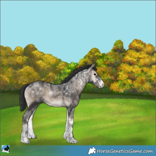 Horse Color:Blue Onyx Ice Sabino 