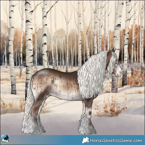 Horse Color:Liver Red Onyx Mushroom Sabino Rabicano 