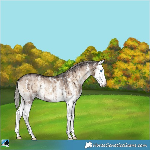 Horse Color:Liver Red Dun Onyx Mushroom Sabino Splash Rabicano Brindle 