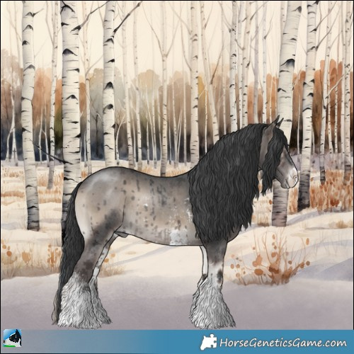 Horse Color:Blue Onyx Sabino Rabicano 