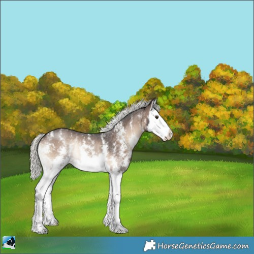 Horse Color:Liver Red Onyx Mushroom Sabino Splash Rabicano 