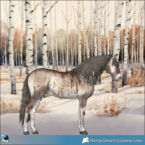 Horse Color:Liver Red Dun Onyx Mushroom Rabicano Brindle 