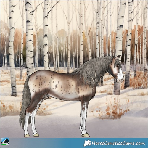 Horse Color:Liver Red Onyx Mushroom Sabino Rabicano 