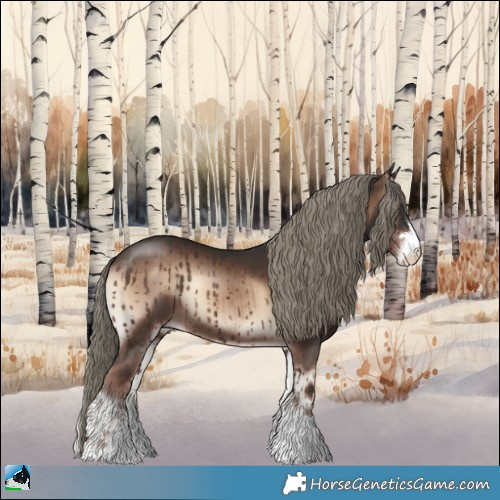 Horse Color:Liver Red Onyx Mushroom Sabino Rabicano 