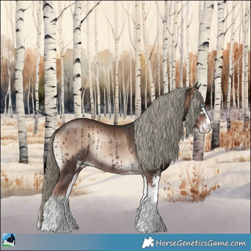 Horse Color:Liver Red Onyx Mushroom Sabino Rabicano 