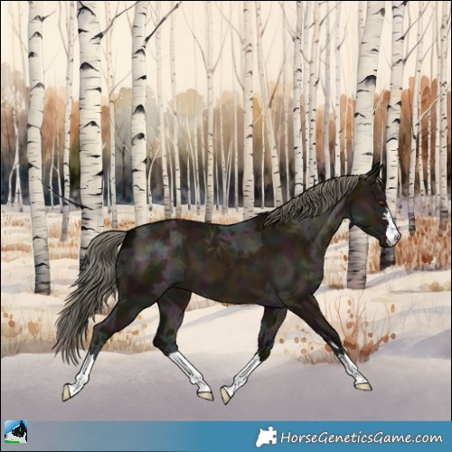 Horse Color:Midnight Liver Red Dun Ice Mushroom 