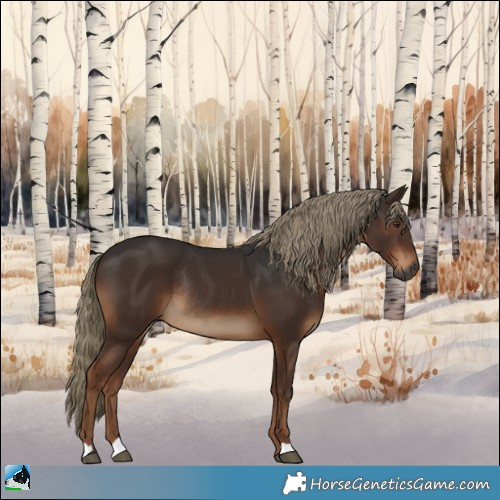 Horse Color:Gray Liver Chestnut Mushroom Rabicano 