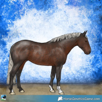 Horse Color:Liver Chestnut Mushroom Rabicano 