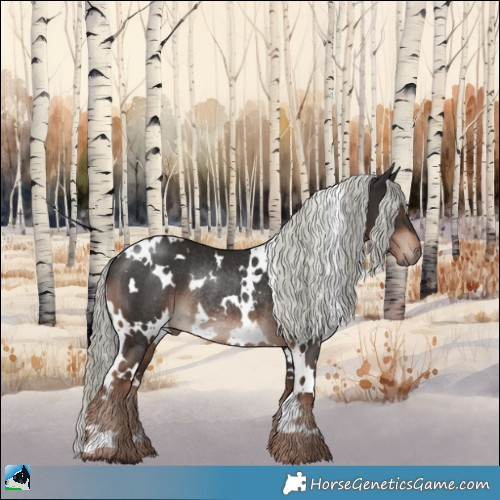 Horse Color:White Spotted Liver Chestnut Mushroom Rabicano 