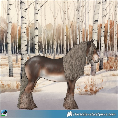 Horse Color:Liver Chestnut Mushroom Rabicano 