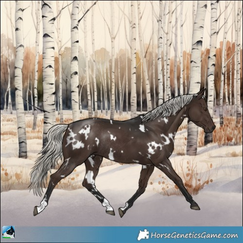 Horse Color:White Spotted Liver Chestnut Mushroom Rabicano 