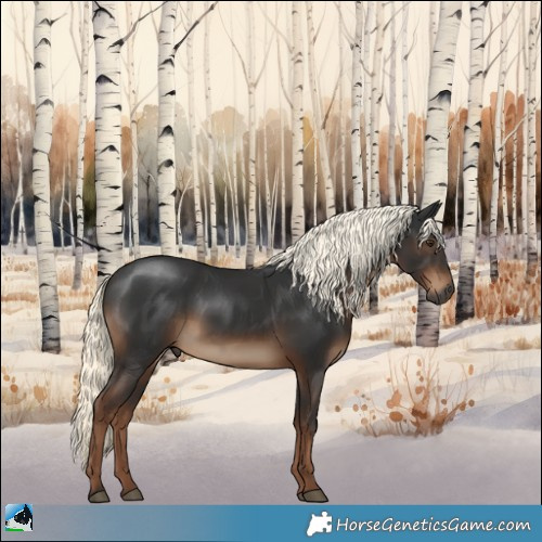 Horse Color:Gray Liver Chestnut Mushroom Rabicano 