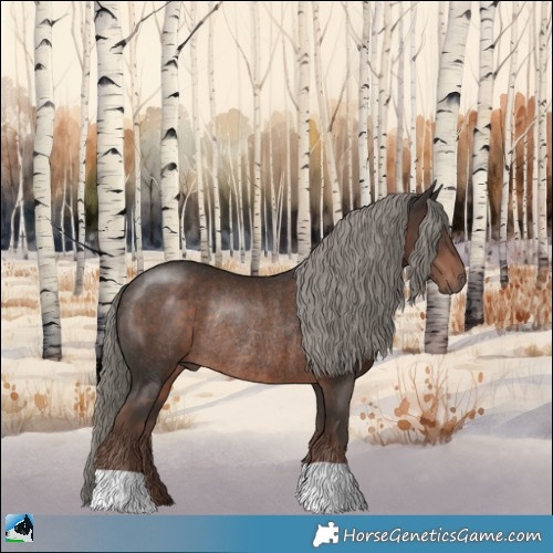 Horse Color:Liver Chestnut Mushroom Rabicano 