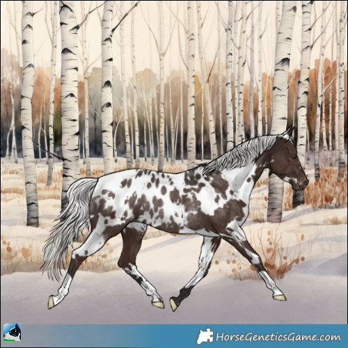 Horse Color:White Spotted Liver Chestnut Mushroom Appaloosa Rabicano 
