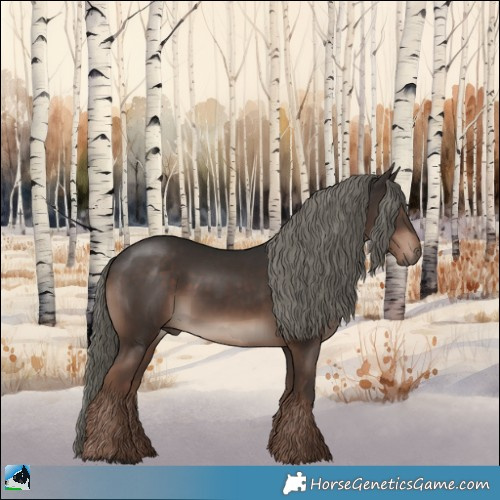 Horse Color:Liver Chestnut Mushroom Rabicano 